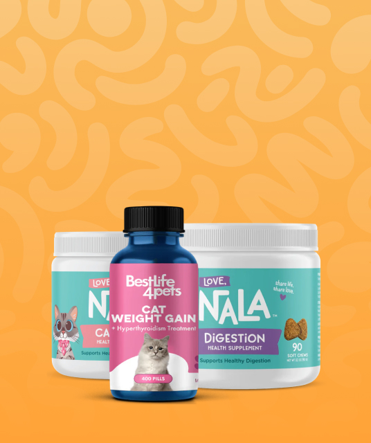 wear dog - dog wearing clothes FAQ questions