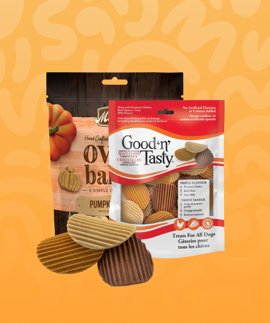 犬 服 測り 方 - professional dog measurement techniques 2025