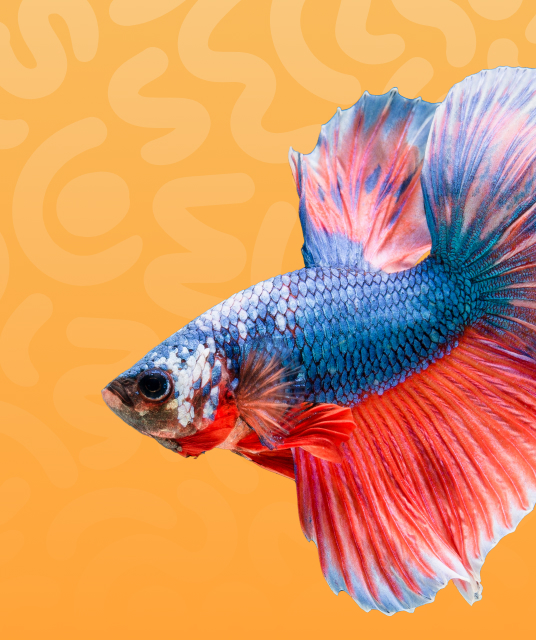 犬 ハーネス レザー - genuine leather vs synthetic dog harness comparison