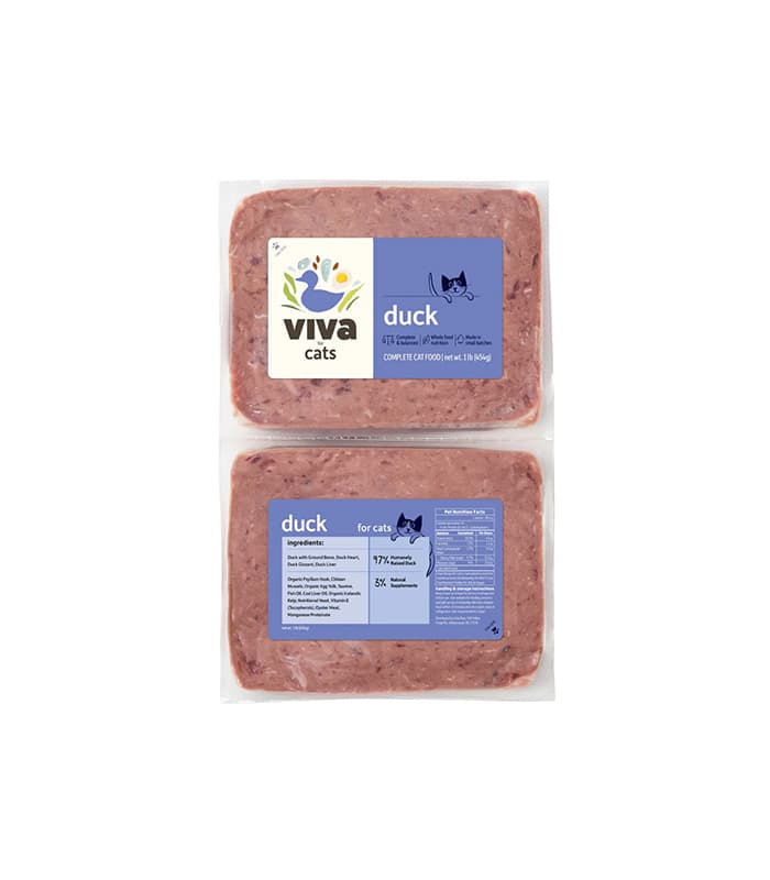 ミニピン 服 専門 店 - luxury dog fashion boutique interior Japan 2025