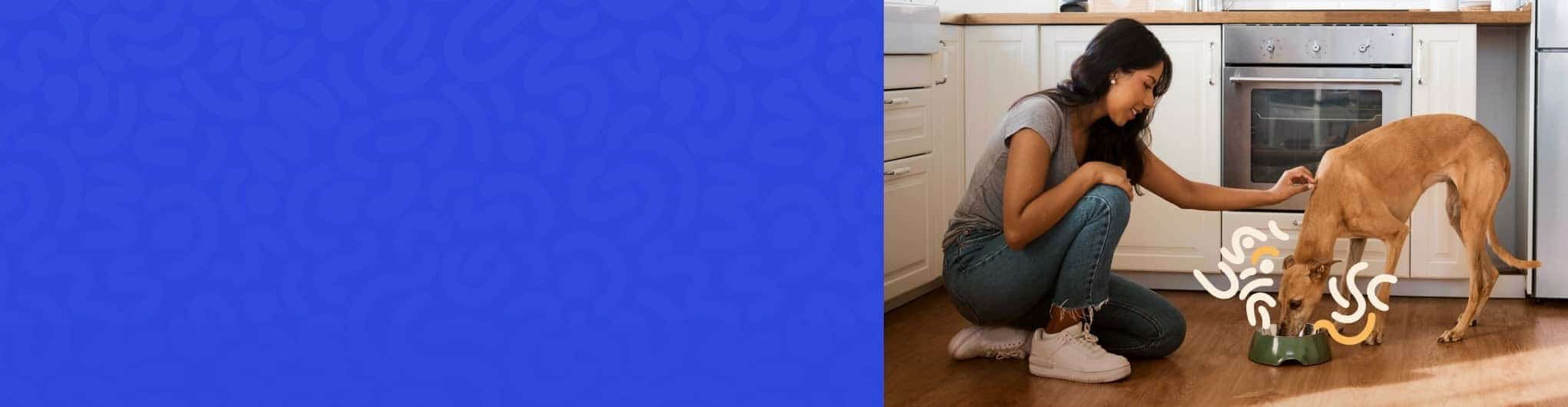 ドッグフード ローテーション - dog food shopping guide japanese