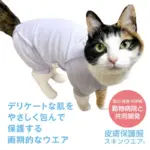 cat clothes
