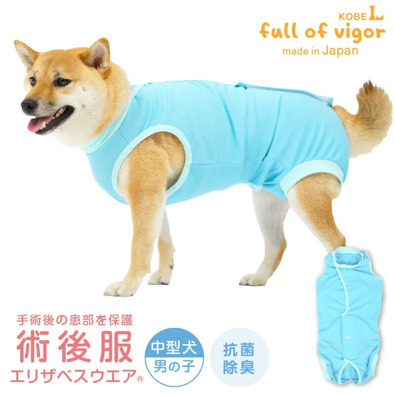 型犬用 術後服 エリザベスウエア(R) 男の子 抗菌