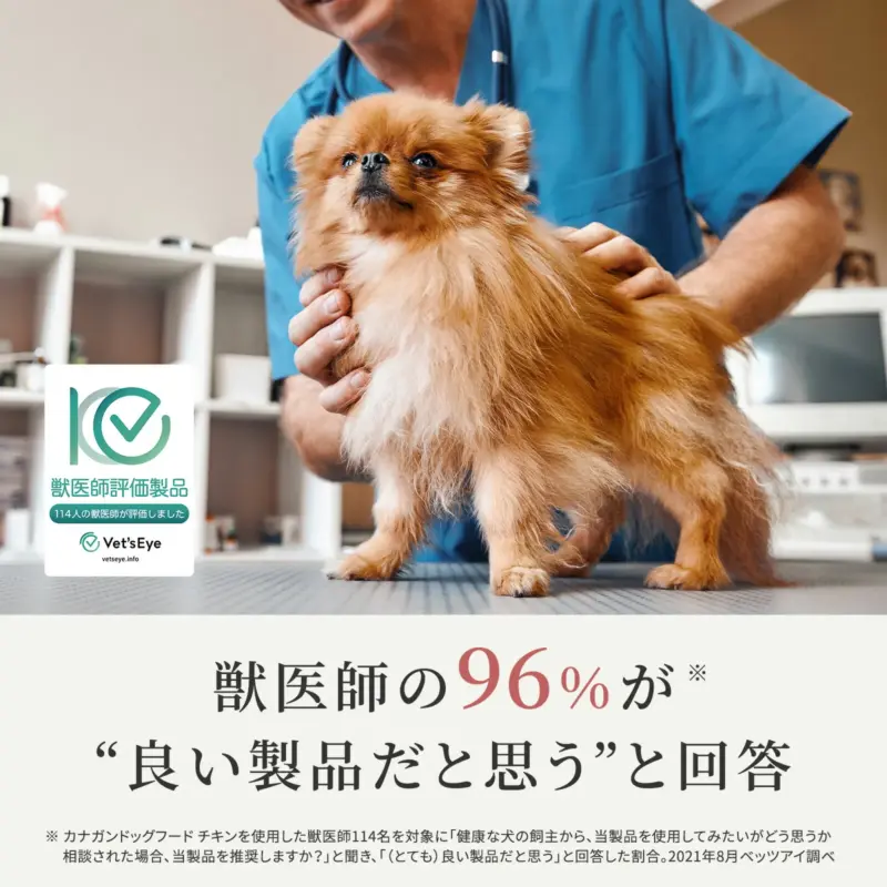 犬 服 測り 方 - Professional Guide and Review