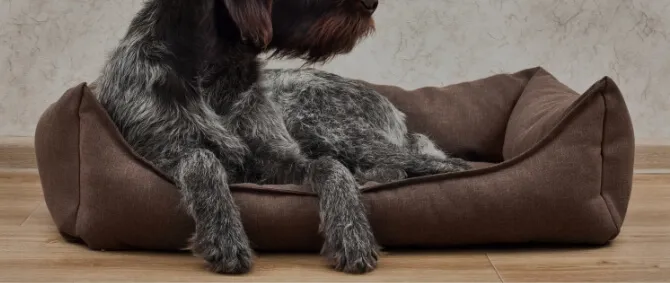 ドッグ サークル 円形モデル ペストルカラー 工具レス組立